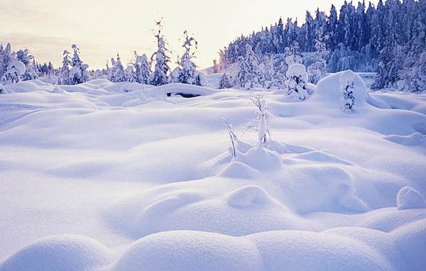 16 articles pour préparer son voyage en Laponie sur Destination Nord