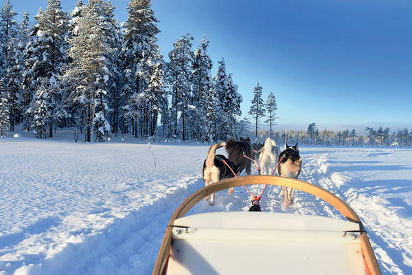 Conseils et budget pour une semaine en Laponie Finlandaise