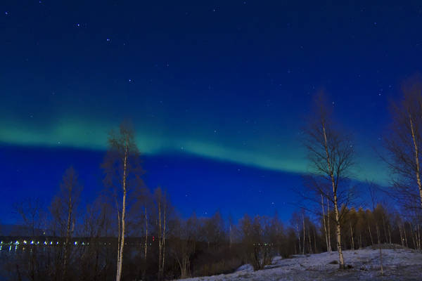 Voyage en Laponie - Rovaniemi (01-2019)