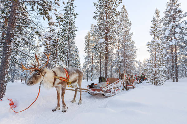 Voyage en Laponie : quelles sont les activités à ne pas rater