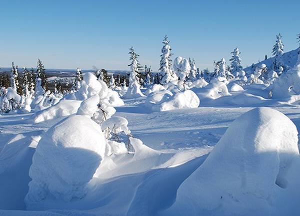 Astuces pour votre voyage en Laponie