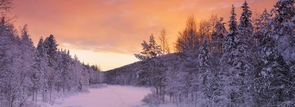 Voyage en Laponie au pays du Père Noël / Finlande