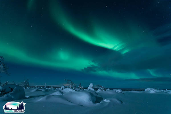 Laponie | Aventure Arctique