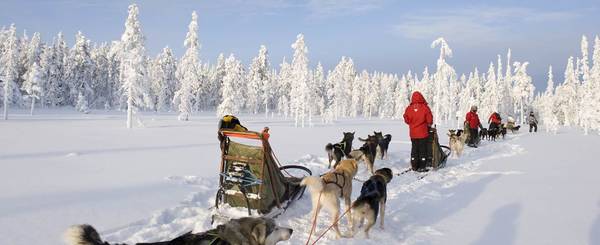 Avis et conseils sur la Laponie Finlandaise - Voyage Facile et bien préparé