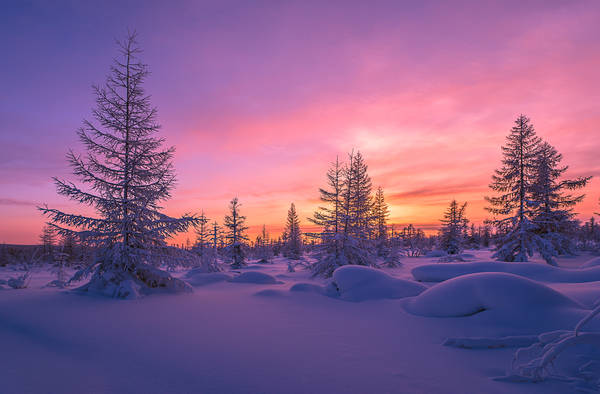 Séjours et Hôtels en Laponie finlandaise